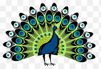 Free Simple Colorful Peacock Drawing Download Free Clip Art - Transparent Background Peacock Clipart Emoji,Peacock Emoji