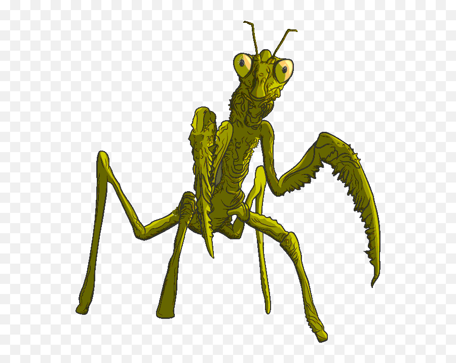 Grasshopper Clipart Invertebrate - Goosebumps Gif Praying Mantis Emoji,Goosebumps Emoji