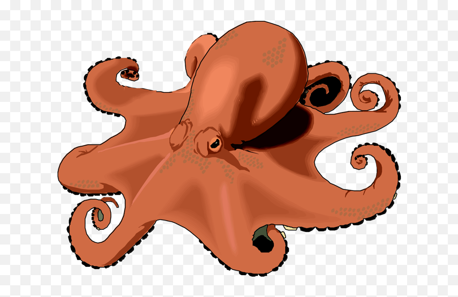 Octopus Clipart Free Images 6 - Clipartix Clipart Of An Octopus Emoji,Octopus Emoji