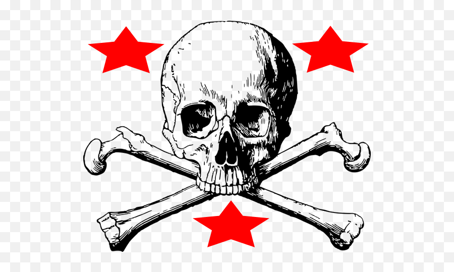 Skull And Bones Skull And Crossbones Anatomy - Skull Png Skull And Bones Png Emoji,Skull And Bones Emoji