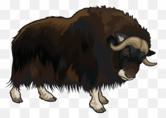 Yak Clipart Png - Clipart Buffalo Png Emoji,Yak Emoji