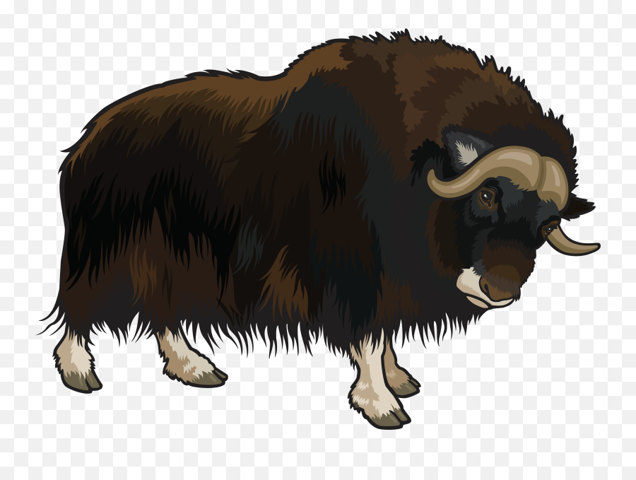 Yak Clipart Png - Clipart Buffalo Png Emoji,Yak Emoji