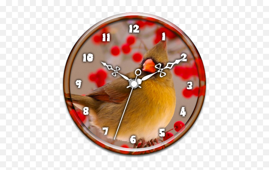 Northern Oriole Clock Live Wp - Northern Cardinal Emoji,Oriole Emoji