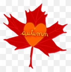 Emojis Bee Willey Illustration And Design - Emblem Emoji,Maple Leaf Emoji