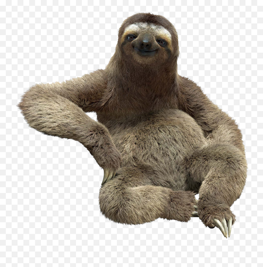 Sloth Png - Sloth Transparent Background Emoji,Upside Down Emoji Png