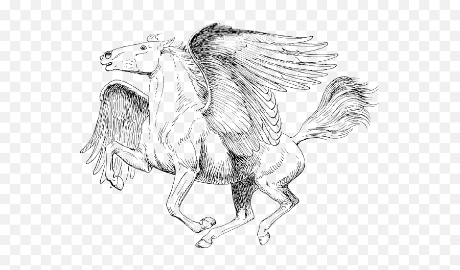 Pegasus Transparent Image Hq Png Image - Mythical Creature Pegasus Coloring Pages Emoji,Pegasus Emoji