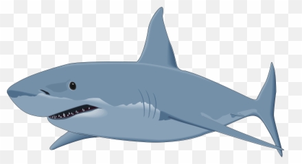 Shark Clipart Png - Shark Clipart Png Emoji,Shark Emoji