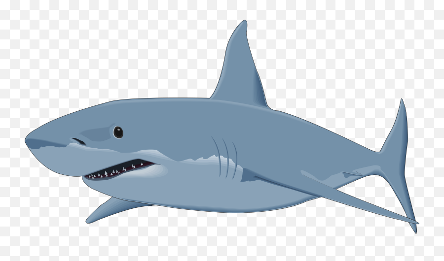 Shark Clipart Png - Shark Clipart Png Emoji,Shark Emoji