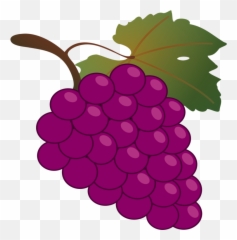 Grape Kyoho Wine Harvest Vine - Grapes Clipart Emoji