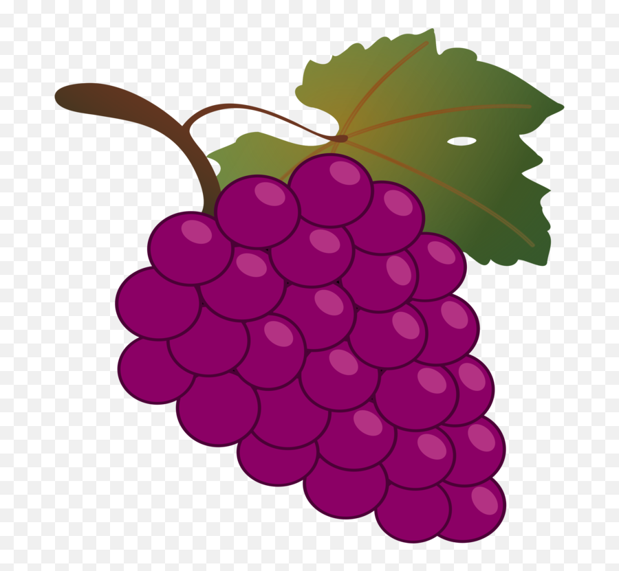 Grape Kyoho Wine Harvest Vine - Grapes Clipart Emoji,Grape Emoji