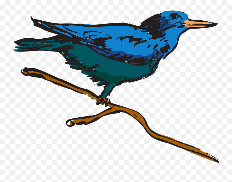 Free Blue Feathers Blue Vectors - Png Emoji,Bird Emoticon