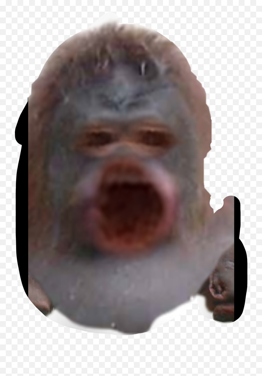 Largest Collection Of Free - Toedit Monkey Face Stickers Ugly Emoji,Monkey Emoji Face