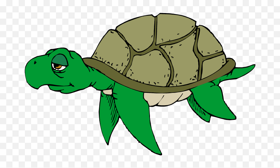 Cartoon Turtle Clipart Free Clip Art - Sick Sea Turtle Clipart Emoji,Sea Turtle Emoji