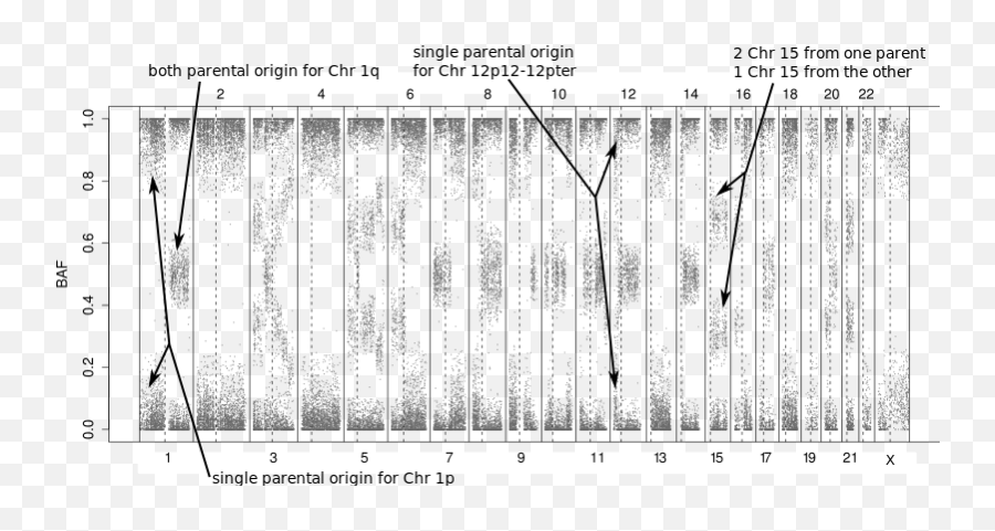 T47d Breast Cancer Cell Line - Snp Array Loh Emoji,Is There A Breast Cancer Emoji