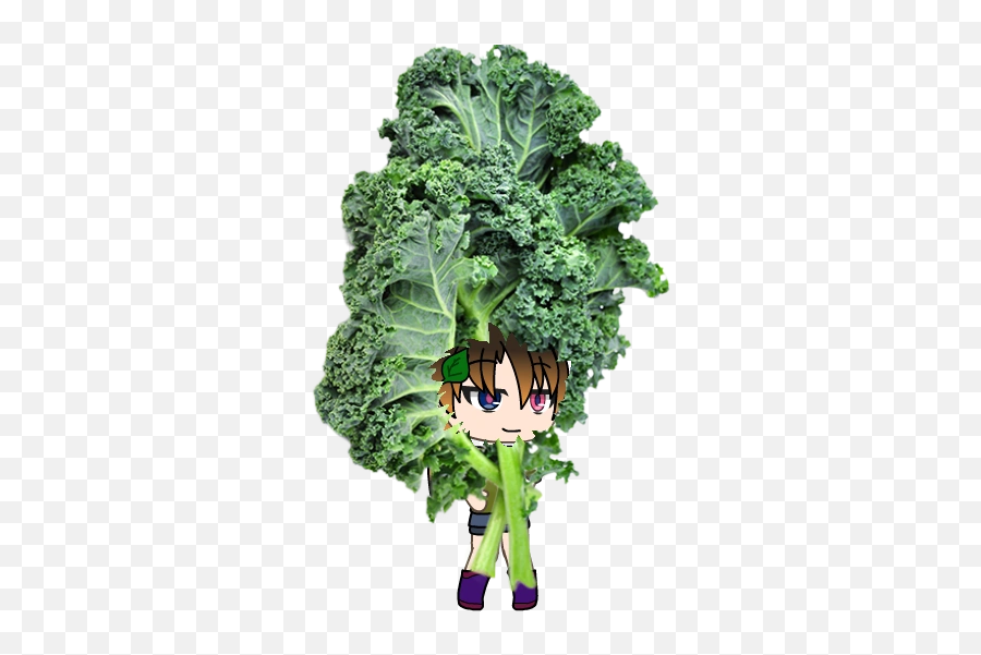 Doot A Barrel Roll - Broccoli Emoji,Kale Emoji