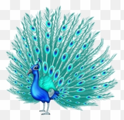 A Red Letter Day For Scots Gingers Celebrate As Redhead - Peacock Feather Emoji In Whatsapp,Peacock Emoji