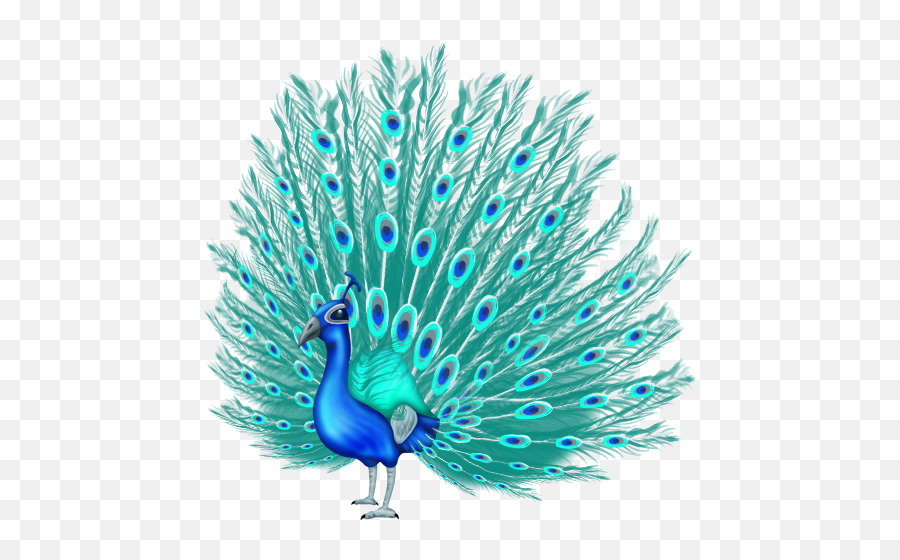 A Red Letter Day For Scots Gingers Celebrate As Redhead - Peacock Feather Emoji In Whatsapp,Peacock Emoji