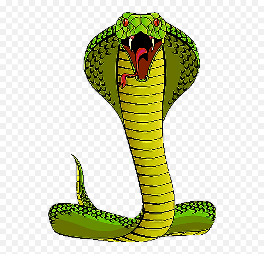 Ftestickers Cobra Snake Serpent King - Cobra Snake Png Cartoon Emoji,Snake Emoji Transparent