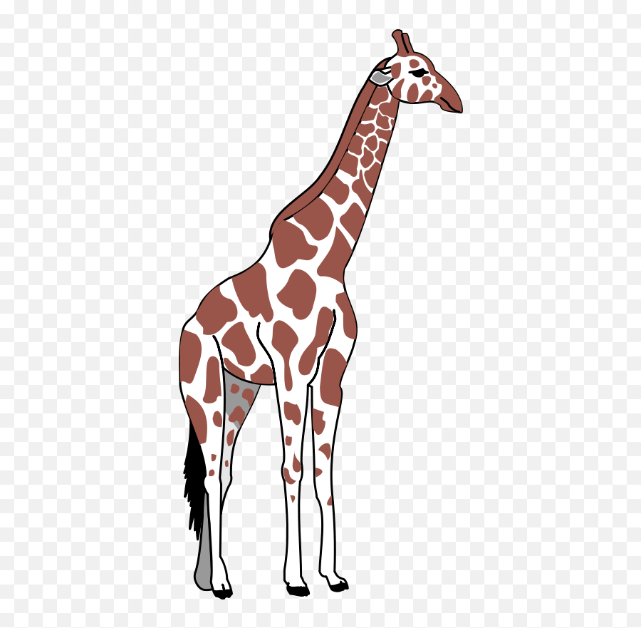 Tall Cliparts Png - Tall Animal Clip Art Emoji,Tall Emoji