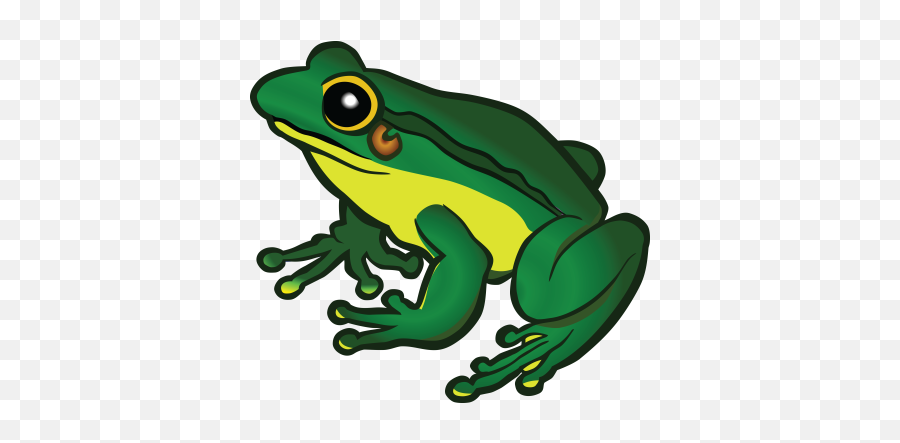 Free Png Images - Dlpngcom Transparent Background Frog Clipart Emoji,Frog And Coffee Cup Emoji