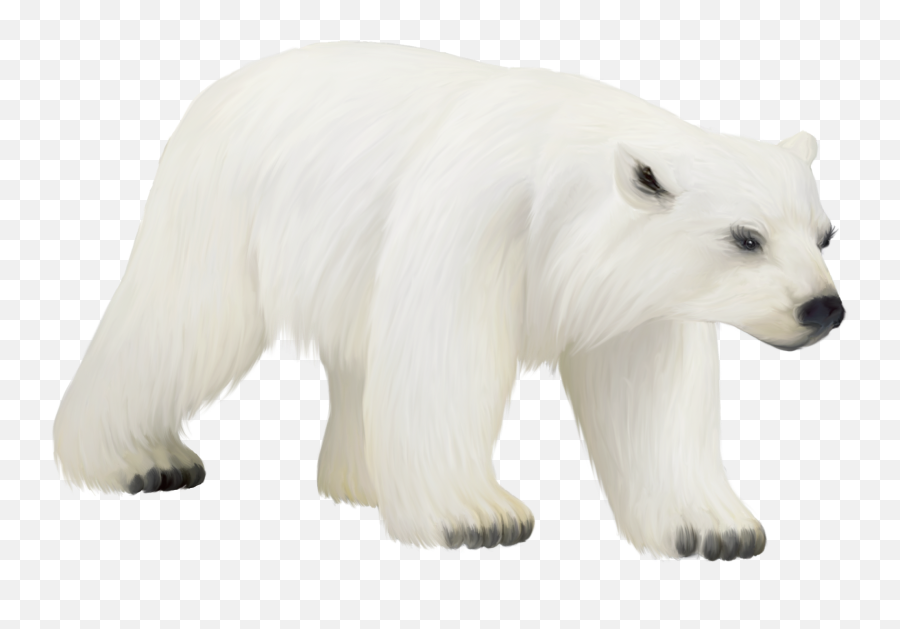 Polar Bear Transparent Clipart 0 Emoji,Polar Bear Emoji