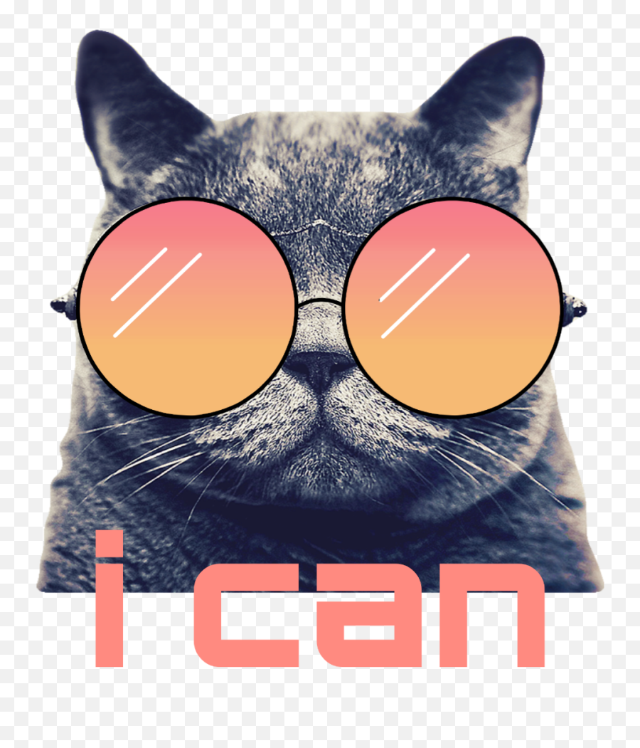Cat Motivational Motivation Stickers Newtopixart Inspir - Cat With Sunglasses Png Emoji,Motivation Emoji