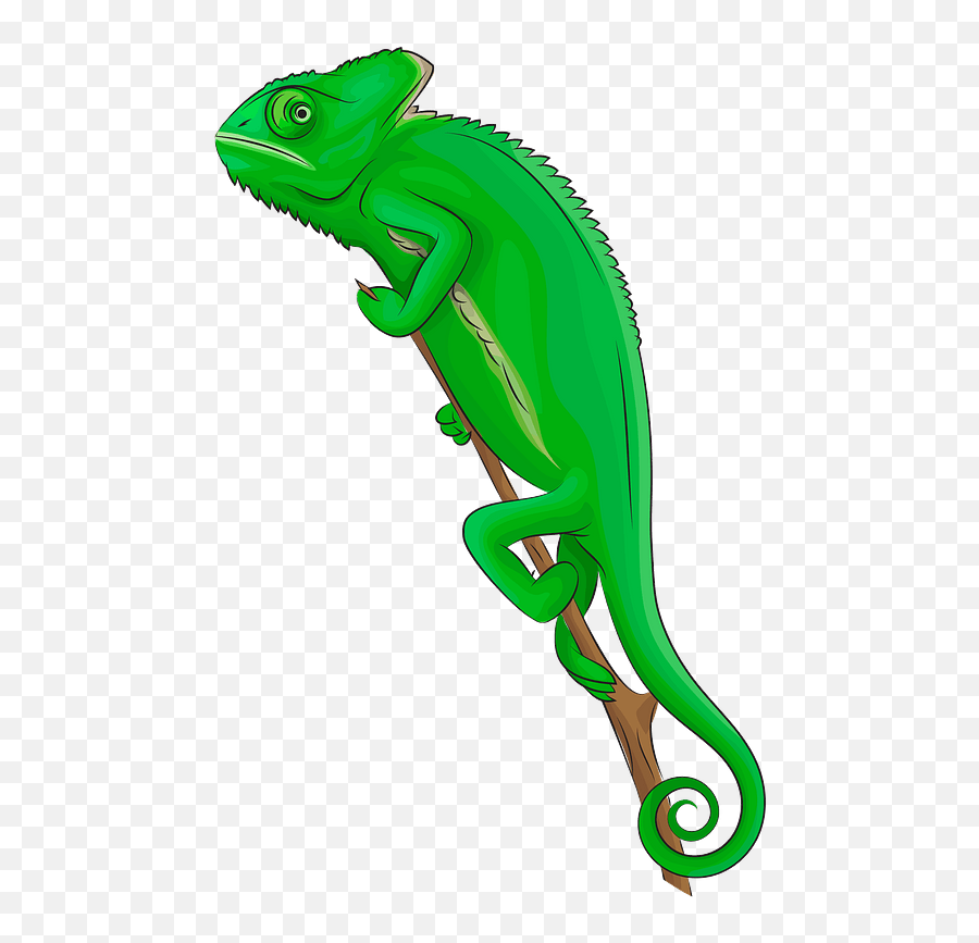 Veiled Chameleon Clipart - Chameleon Clipart Emoji,Chameleon Emoji