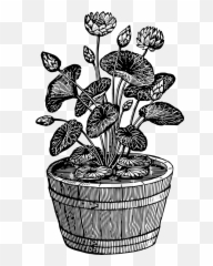Floral Flower Houseplant Leaf Leafy - Plant White And Black Emoji,Pot Leaf Emoji