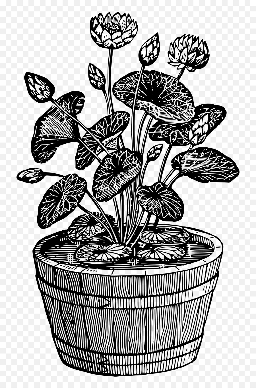 Floral Flower Houseplant Leaf Leafy - Plant White And Black Emoji,Pot Leaf Emoji