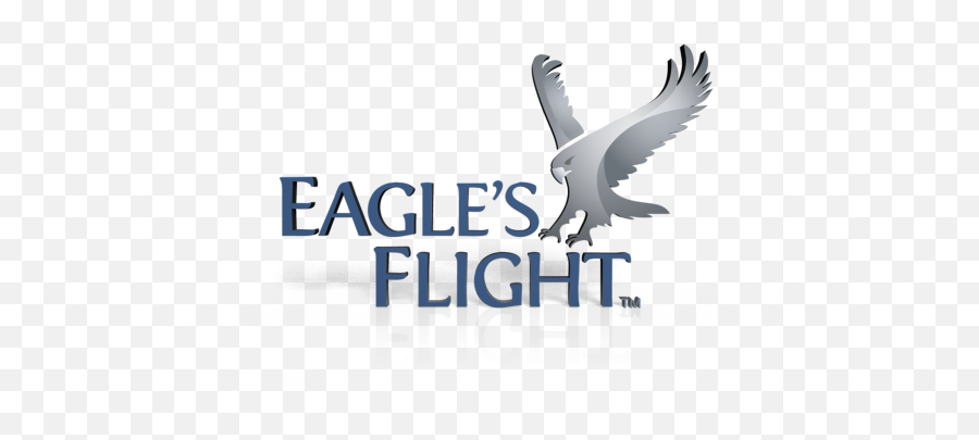 Flight Global Licensee - Eagles Flight Emoji,Eagle Globe And Anchor Emoji