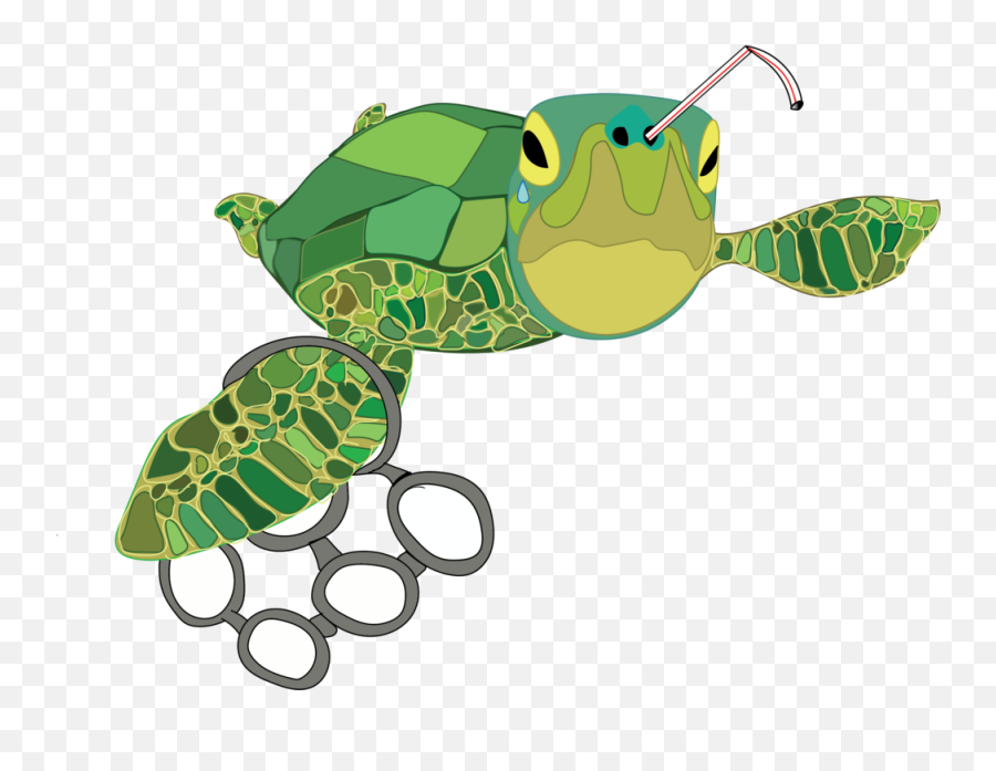 Sea Turtle Trivia - Baamboozle Cartoon Turtle With Plastic Emoji,Turtle Emoji