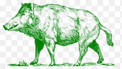 Common Warthog Boar Hunting Domestic Pig Clip Art - Tiger Hand Drawn Wild Boar Emoji,Boar Emoji