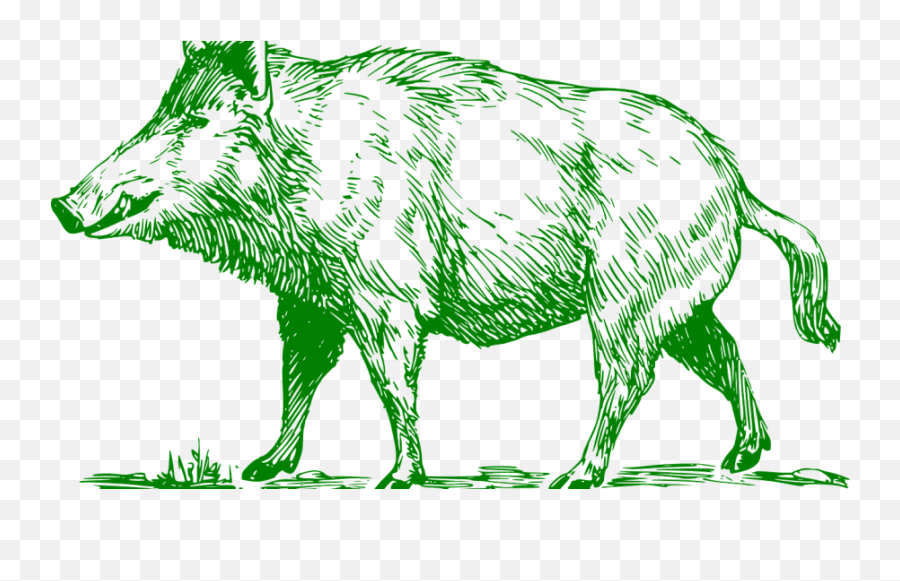 Common Warthog Boar Hunting Domestic Pig Clip Art - Tiger Hand Drawn Wild Boar Emoji,Boar Emoji