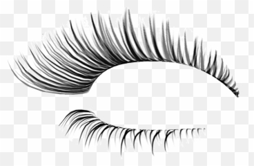 Transparent Background Eyelashes Transparent Clipart - Transparent Background Lashes Png Emoji,Eyelash Emoji