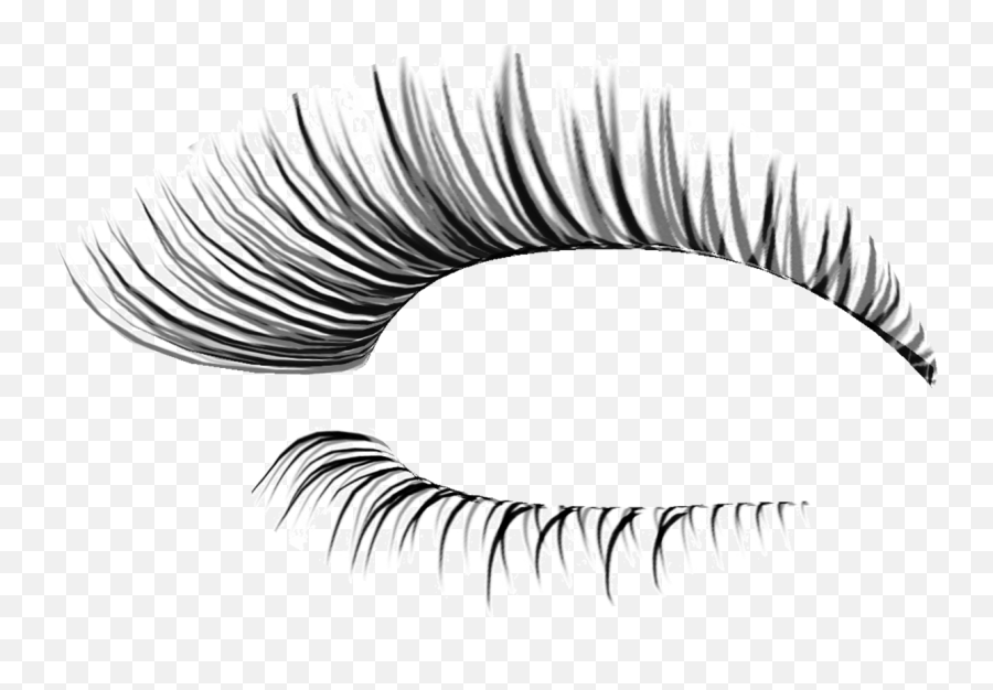 Transparent Background Eyelashes Transparent Clipart - Transparent Background Lashes Png Emoji,Eyelash Emoji