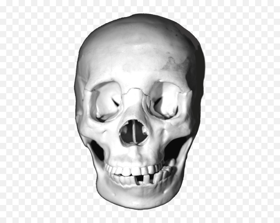 Friendly Clipart Skull Friendly Skull Transparent Free For - Skull Transparent Jpeg Emoji,Man Skull Emoji