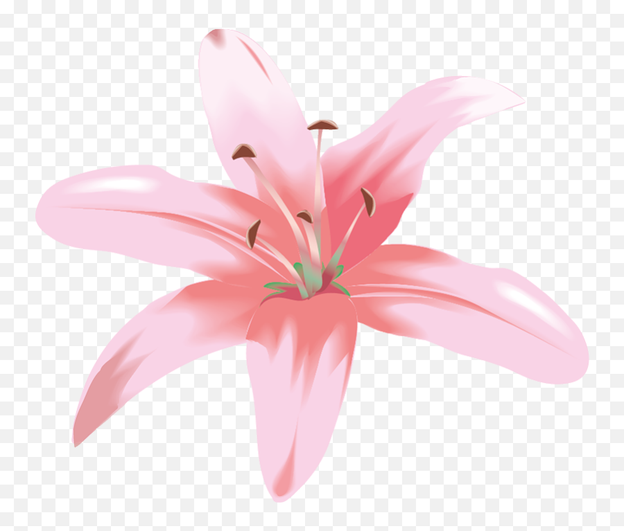 Thumb Image - Lili Flower Emoji,Lily Flower Emoji