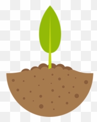 Seedling Clipart Phase Seedling Phase - Seedling Clipart Emoji,Bean Sprout Emoji