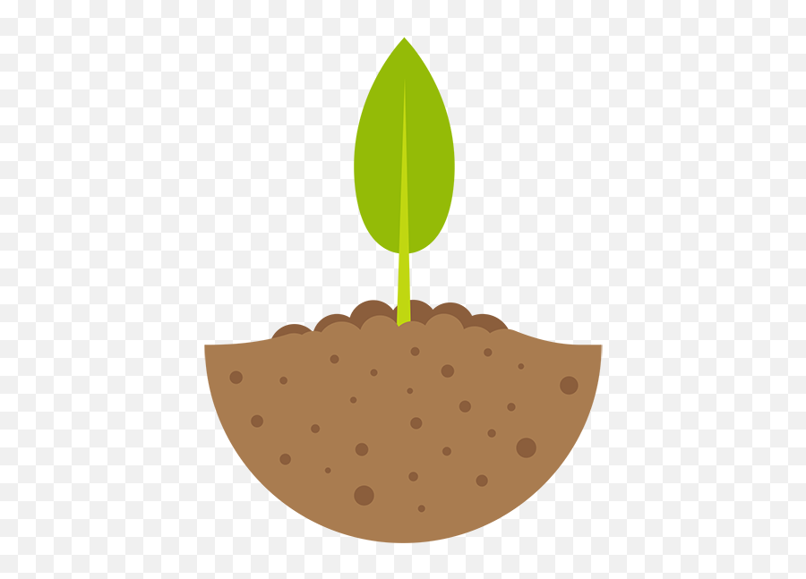 Seedling Clipart Phase Seedling Phase - Seedling Clipart Emoji,Bean Sprout Emoji