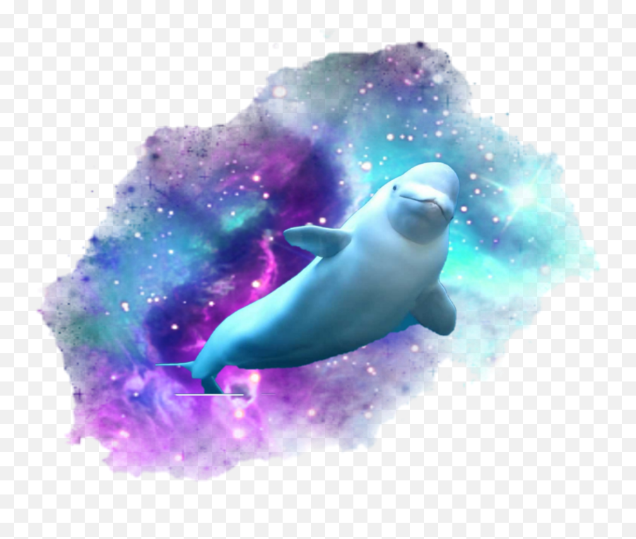 Belugawhale Galaxy Ocean Loveatfirstsight - Picsart Galaxy Stickers Emoji,Sea Lion Emoji