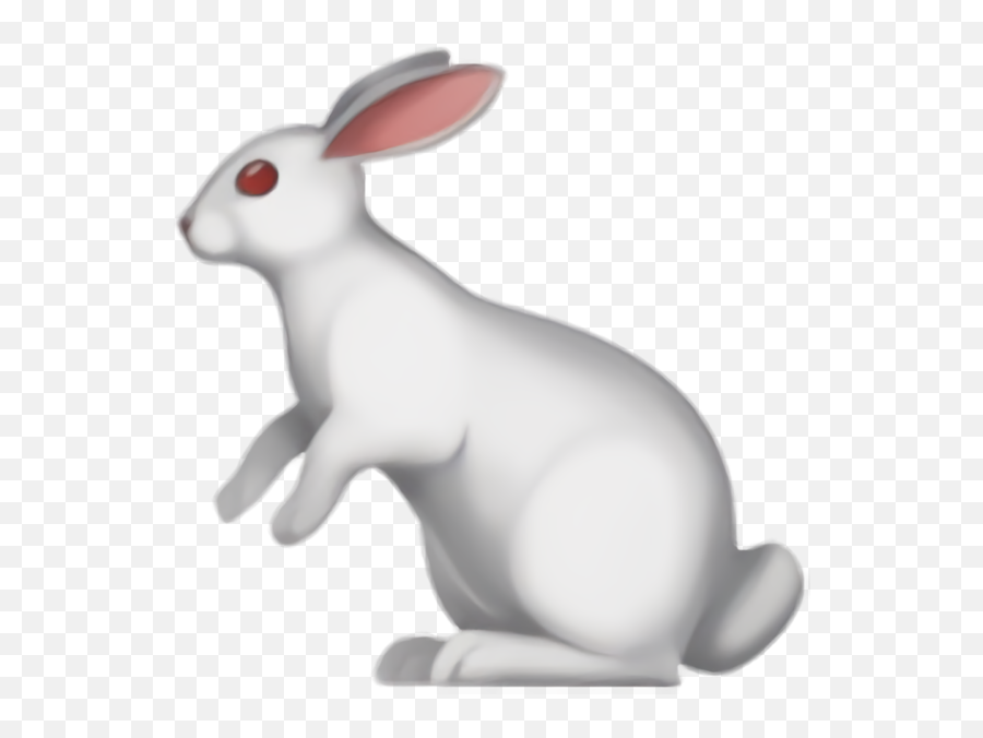 Easter Rabbit Rabbits And Hares Animal - White Rabbit Emoji Png,Easter Bunny Emoji