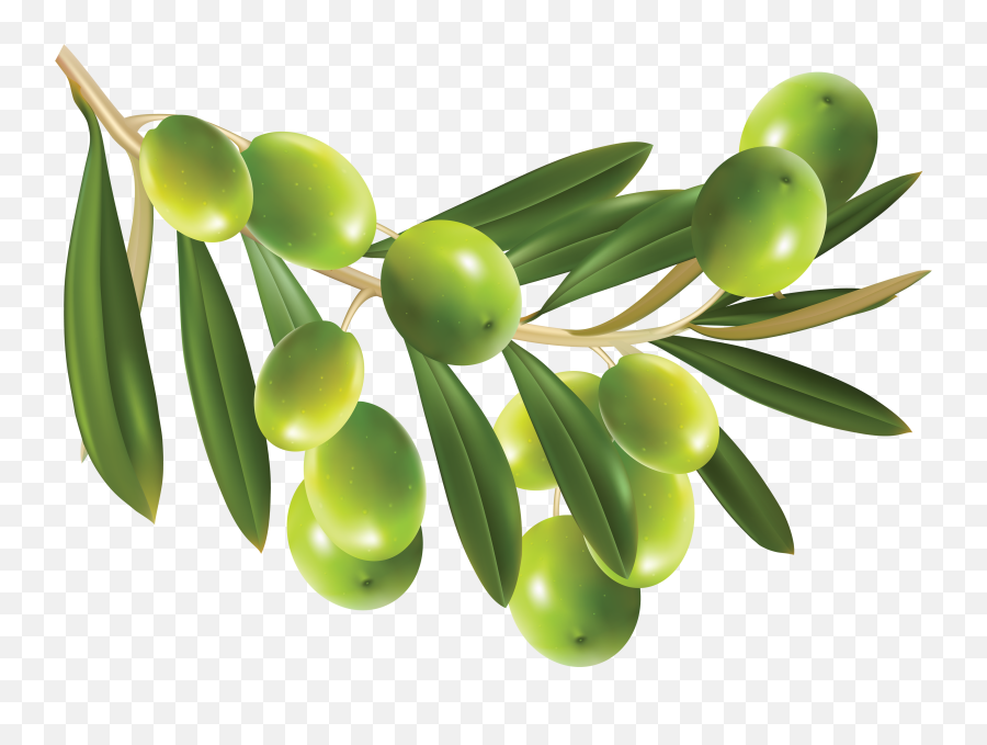 Olives Png Image - Olive Png Emoji,Olive Emoji