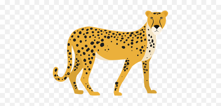 Cheetah Jaguar Clip Art Portable - Yayoi Kusama Emoji,Cheetah Emoji