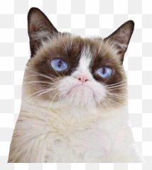 To - Grumpy Cat Go Away Poster Emoji