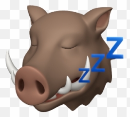 Medicinae Doctor - Domestic Pig Emoji,Casket Emoji