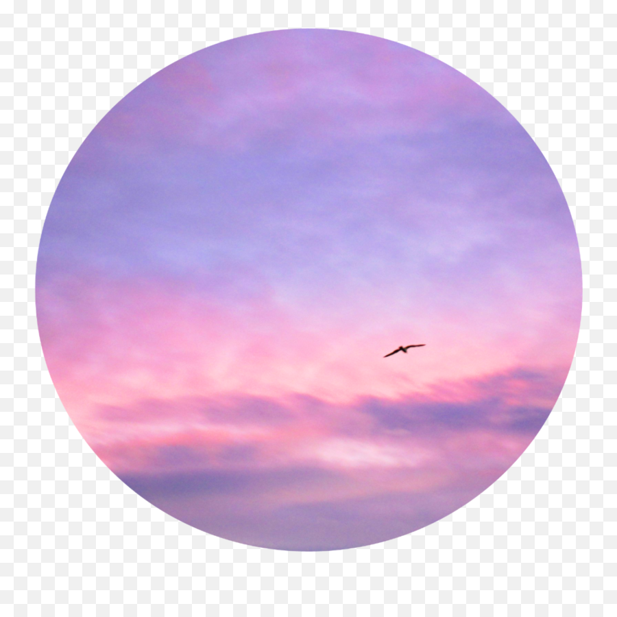 Sunset Bird Pfpicon Circle Cute - Flight Emoji,Sunset Bird Emoji