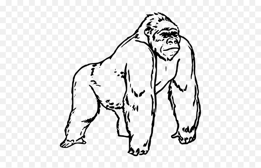 Gorill Line Art Vector Image - Gorilla Black And White Emoji,Thinking Emoji Transparent
