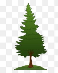 Clipart Trees Pine Clipart Trees Pine - Pine Tree Clipart Png Emoji,Pine Tree Emoji