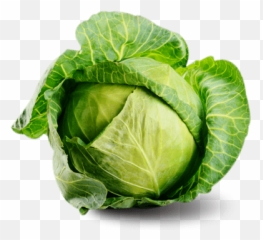 cabbage - Sticker by Cabbage Png Emoji