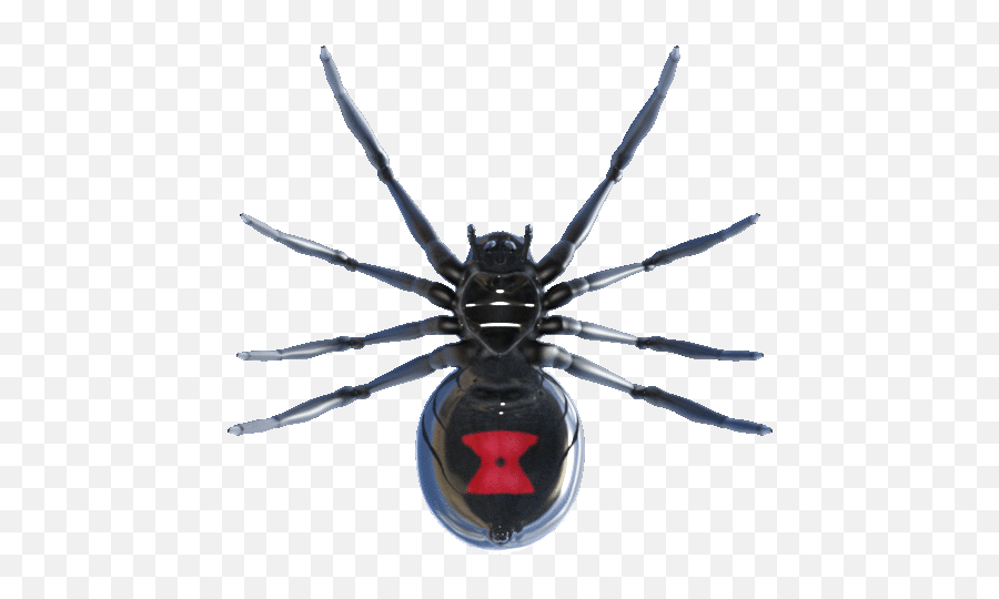 Balenciaga Spider Gif - Black Widow Emoji,Black Widow Emoji